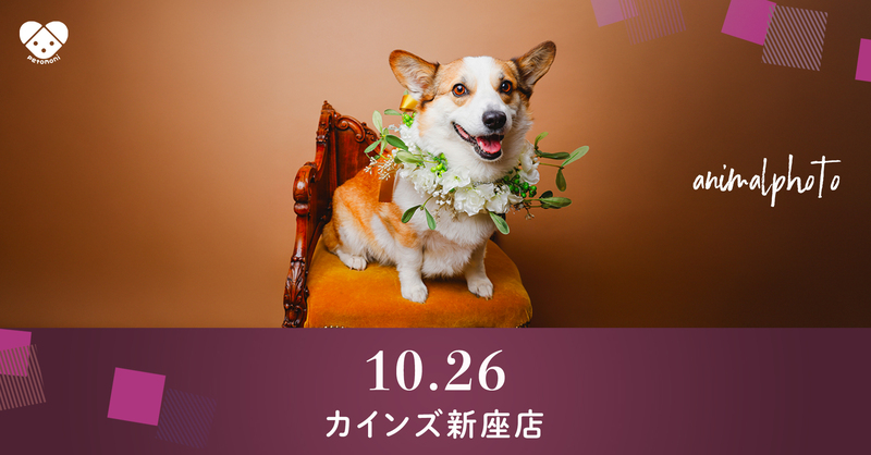 埼玉県【カインズ新座店】2025年10月26日（日）