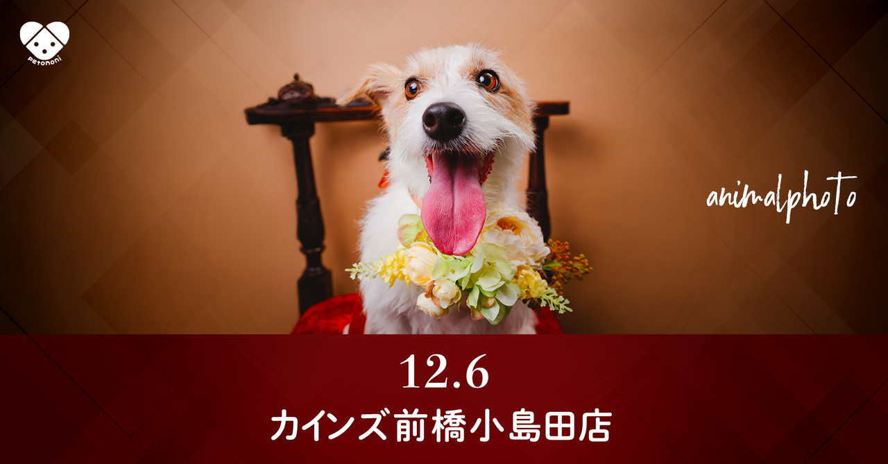 群馬県【カインズ前橋小島田店】2025年12月6日（土）