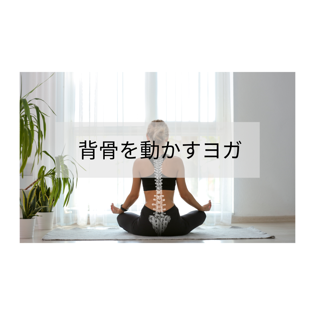 背骨を動かすヨガ