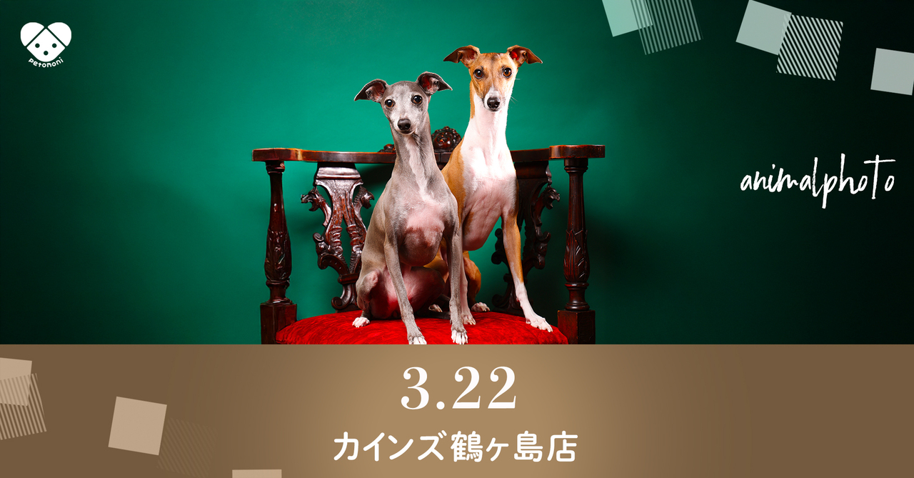埼玉県【カインズ鶴ヶ島店】2026年3月22日（日）