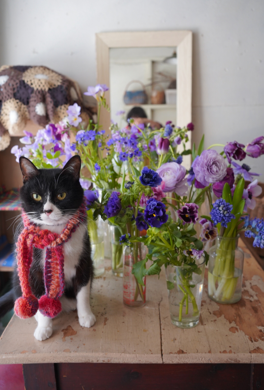 2月＊Choice class**『アメジスト色な球根花たち好きなのチョイス!!』