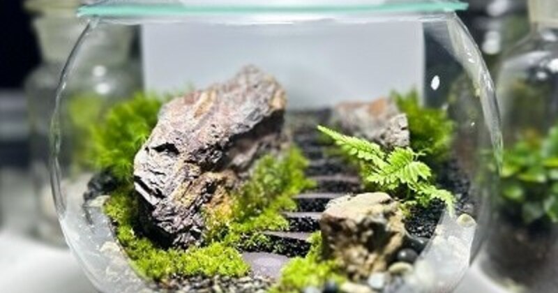 杉並来店予約】テラリウム専門店Feel The Garden杉並本店