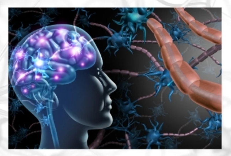 11/7スタート㊙️東京大学名誉教授が教える 【AI時代を生き抜く論理的思考法】