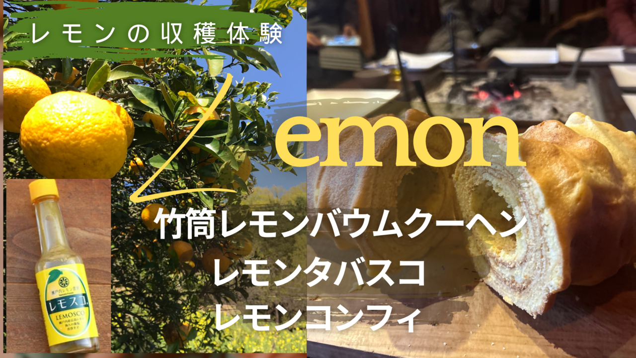 シトラス・アドベンチャー：薫るレモン収穫＆レモンタバスコの魔法と炭火・竹筒でのバウムクーヘン