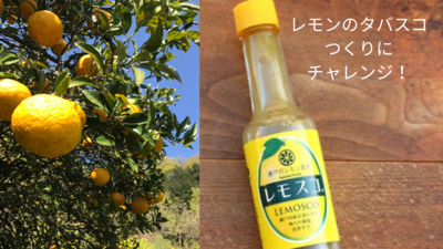 シトラス・アドベンチャー：薫るレモン収穫＆レモンタバスコの魔法と炭火・竹筒でのバウムクーヘン