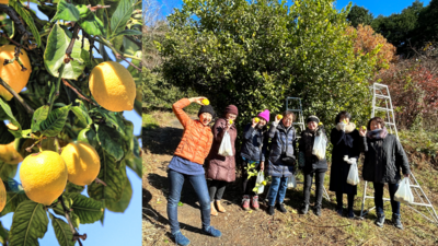 シトラス・アドベンチャー：薫るレモン収穫＆レモンタバスコの魔法と炭火・竹筒でのバウムクーヘン