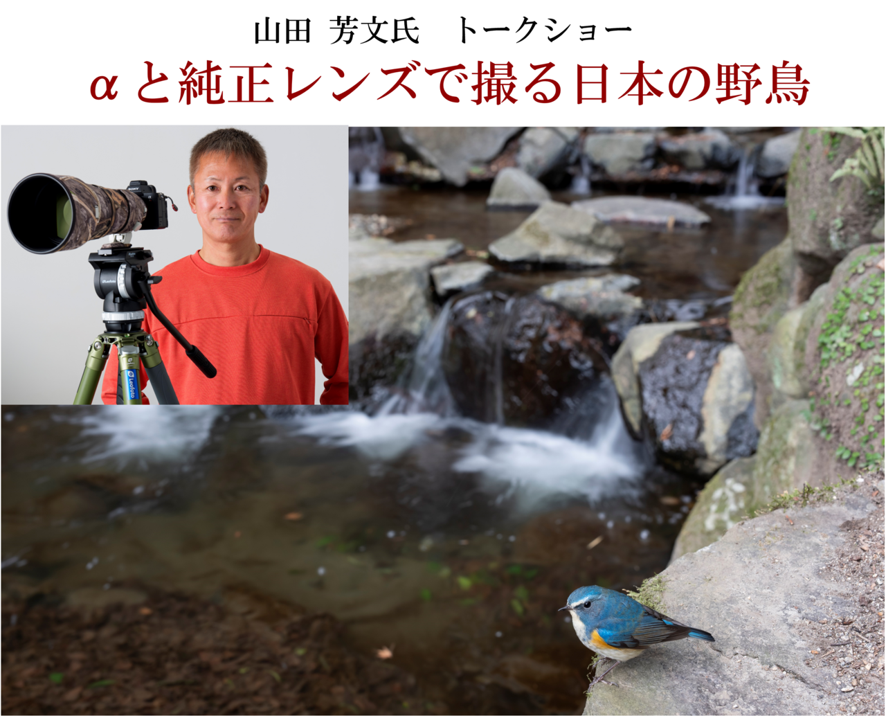 山田 芳文氏トークショー　αと純正レンズで撮る日本の野鳥