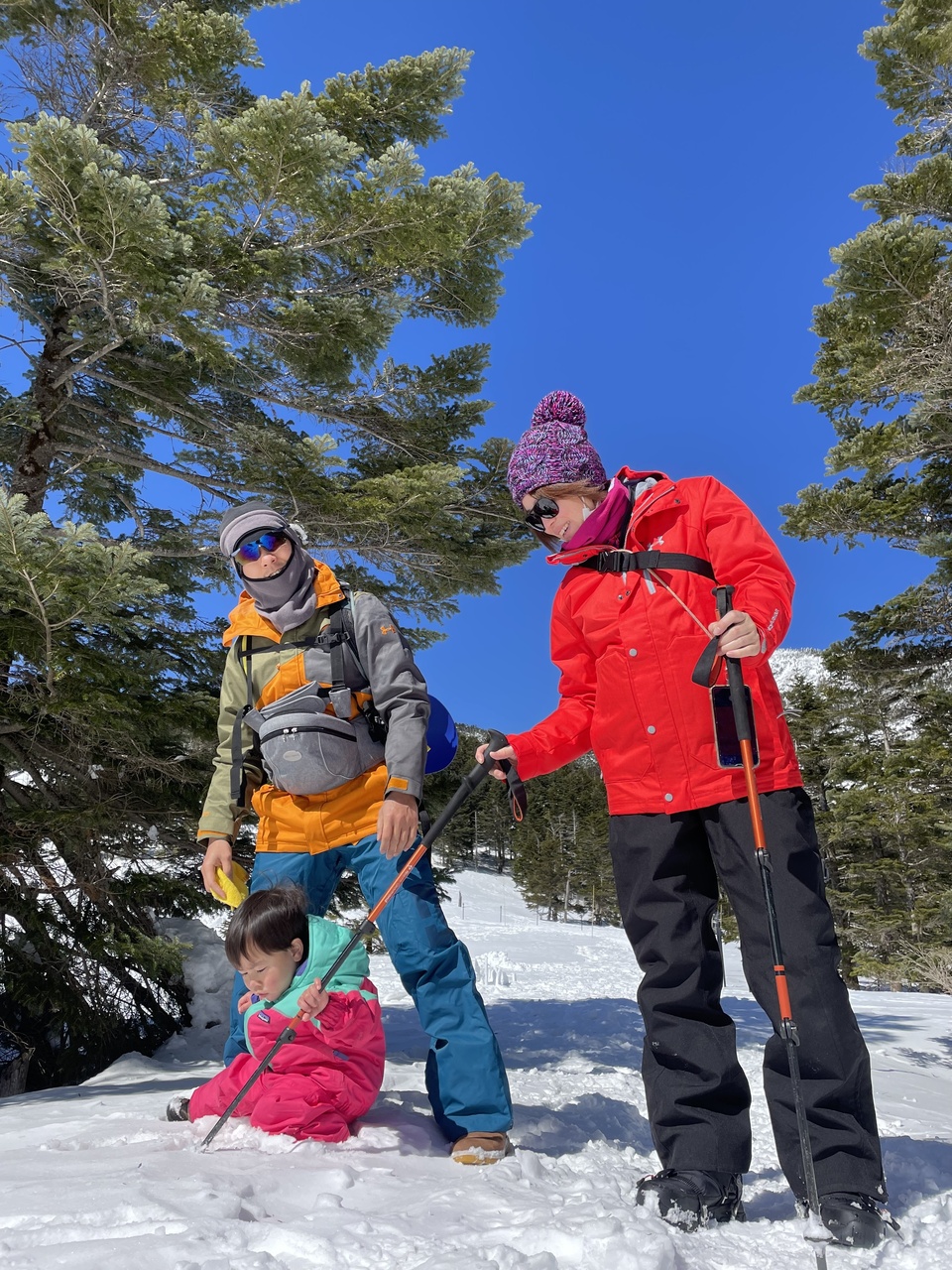 美瑛お手軽雪遊び&スノーシュー体験ツアー（午前）