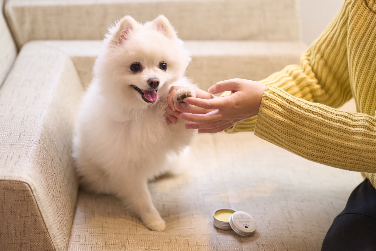 ＼with DOG／肉球クリームづくり