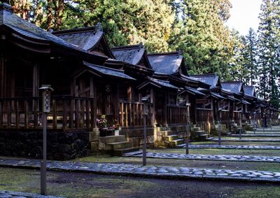 山菜と秘境温泉を楽しむツアー2026 春