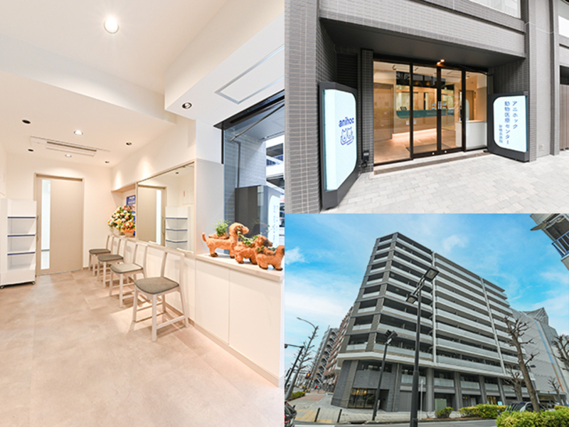 【アニホック動物医療センター 新横浜病院】トリミング予約