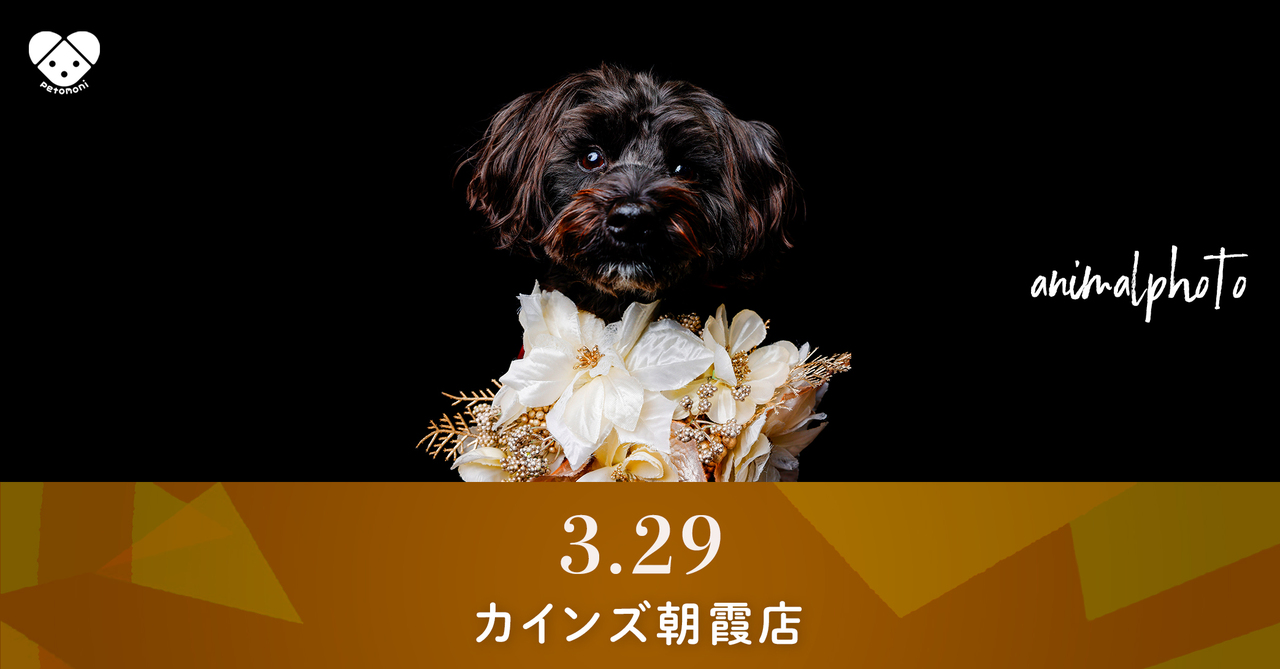 埼玉県【カインズ朝霞店】2026年3月29日(日)