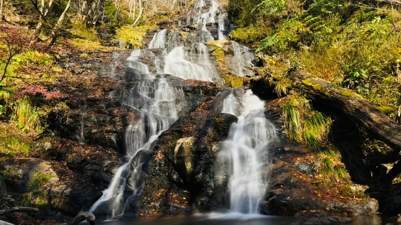 【真作】掛軸　滝のある山水画　静寂な自然の情景　渓流と滝　合箱入　Q193 神庭の滝へ｜rurokame_z502