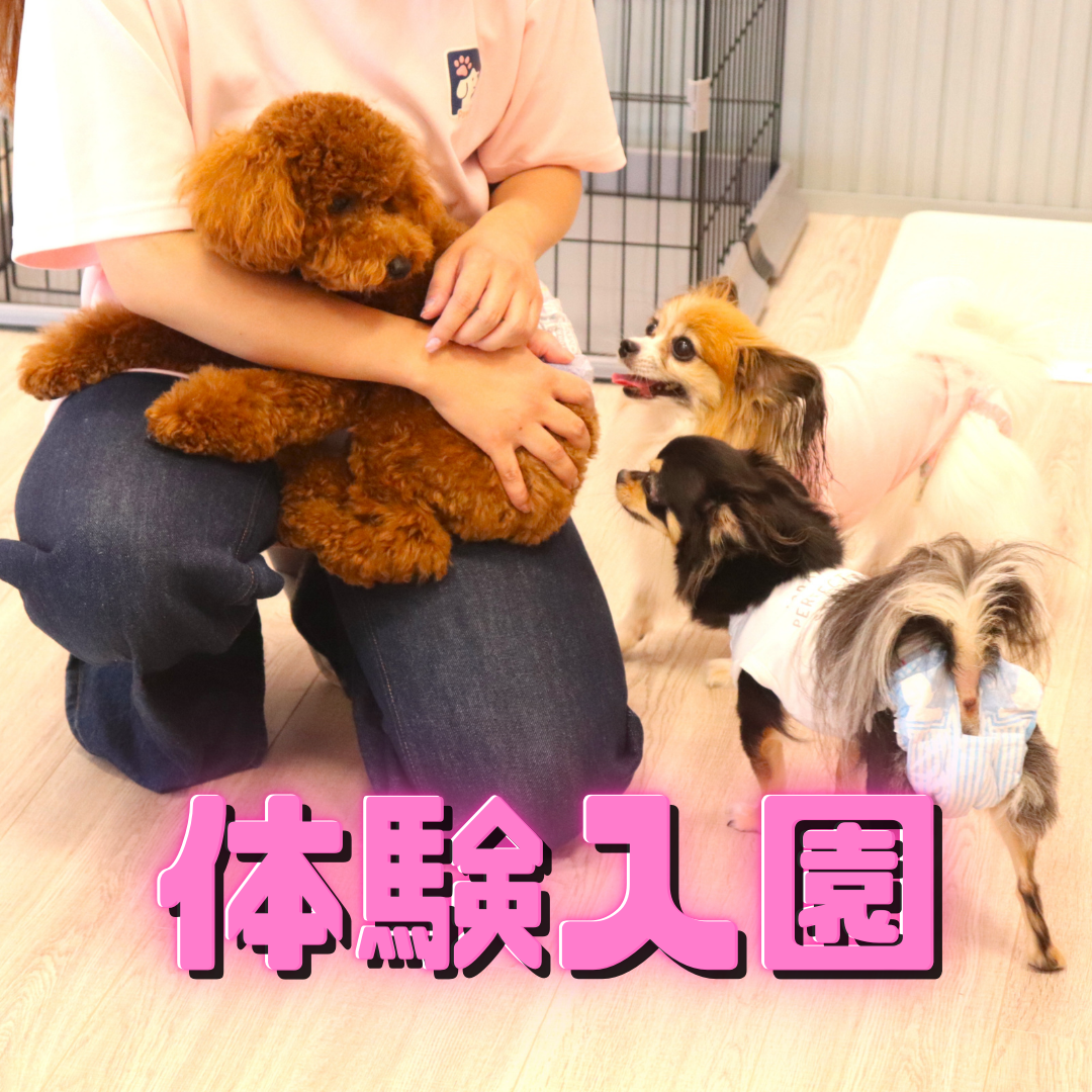 初回体験コース