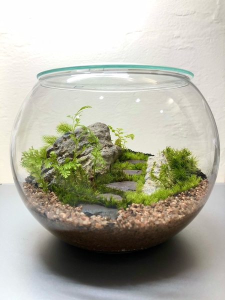 幕張新都心 】中型編 大人の苔テラリウムワークショップ FeelTheGarden