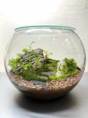 幕張新都心 】中型編 大人の苔テラリウムワークショップ FeelTheGarden