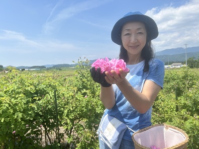 <ローズツーリズムin 山形>ダマスクローズの摘み取り＆蒸留体験２０２６