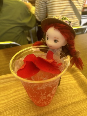 <ローズツーリズムin 山形>ダマスクローズの摘み取り＆蒸留体験２０２６