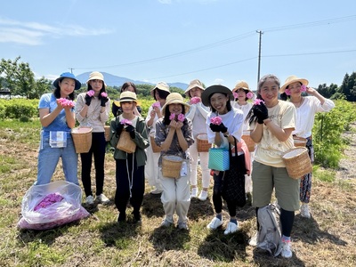 <ローズツーリズムin 山形>ダマスクローズの摘み取り＆蒸留体験２０２６