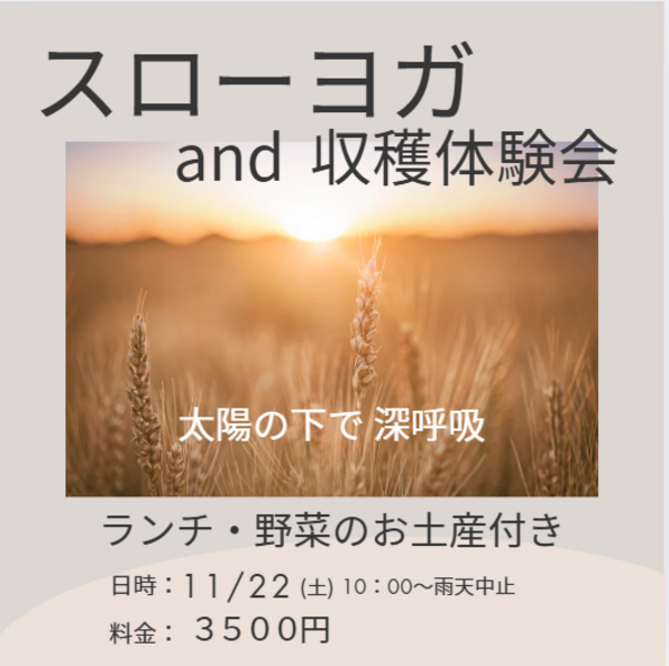 スローヨガ　と　収穫体験会