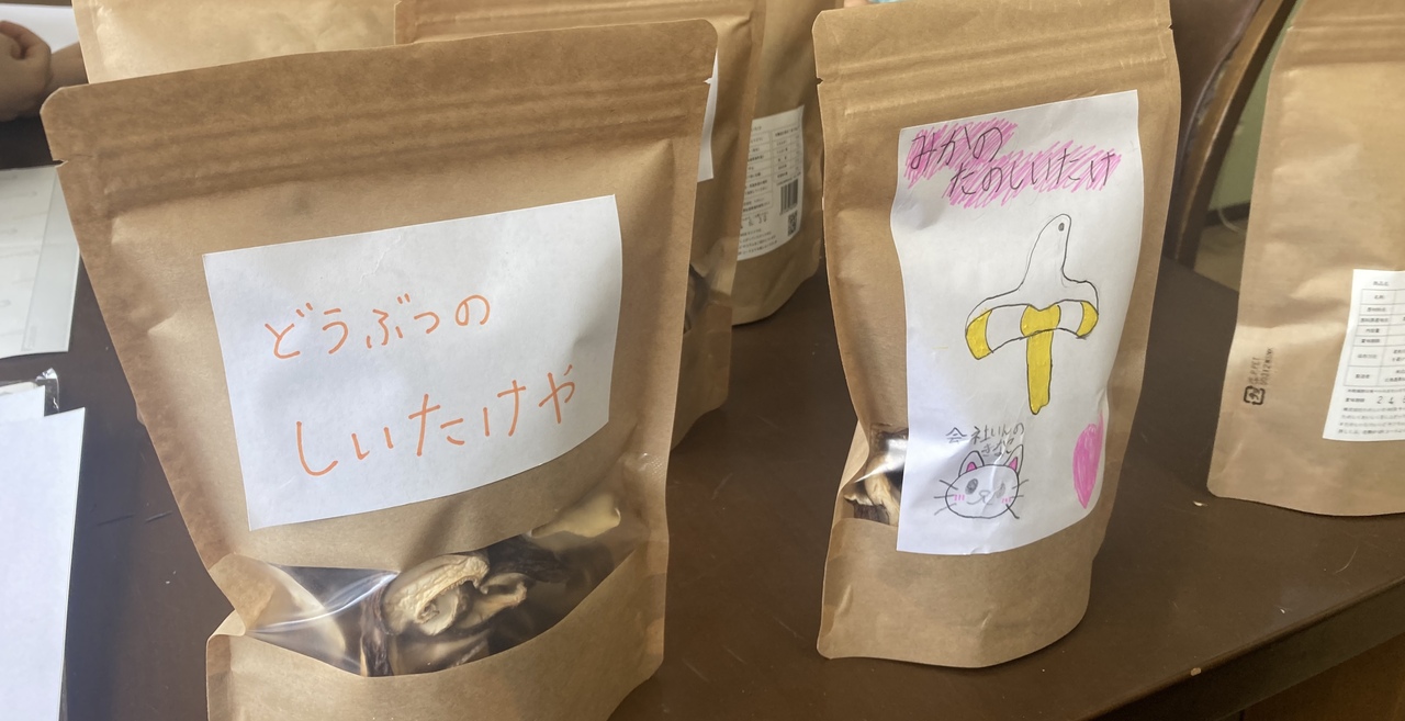 堀田さんと原木しいたけ体験_北海道(厚真)プログラム_ポケマルおやこ地方留学2025夏