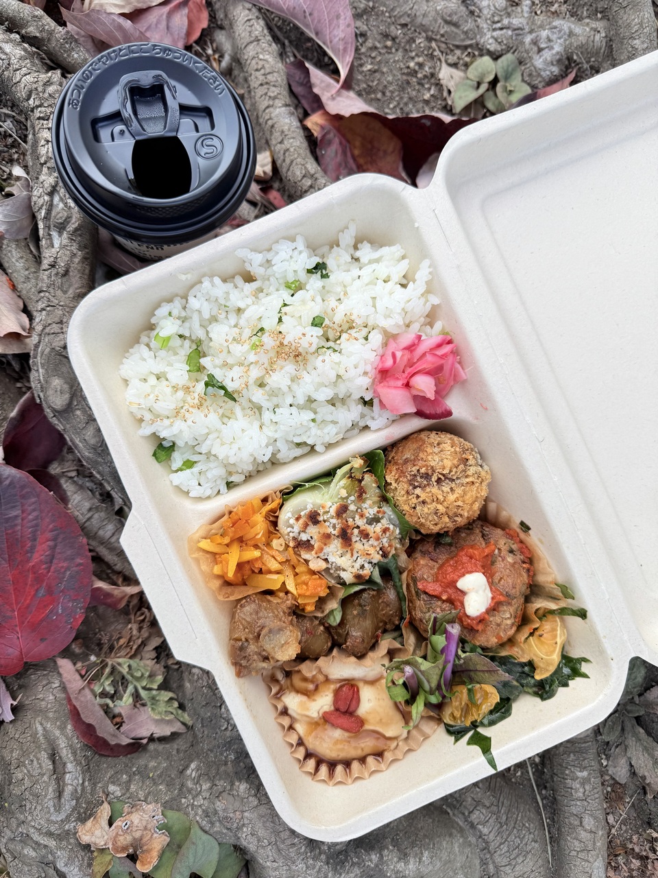 ❹秋山紫穂先生から学ぶAshtanga Yoga & Active Seriese 1ays WS｜ランチ