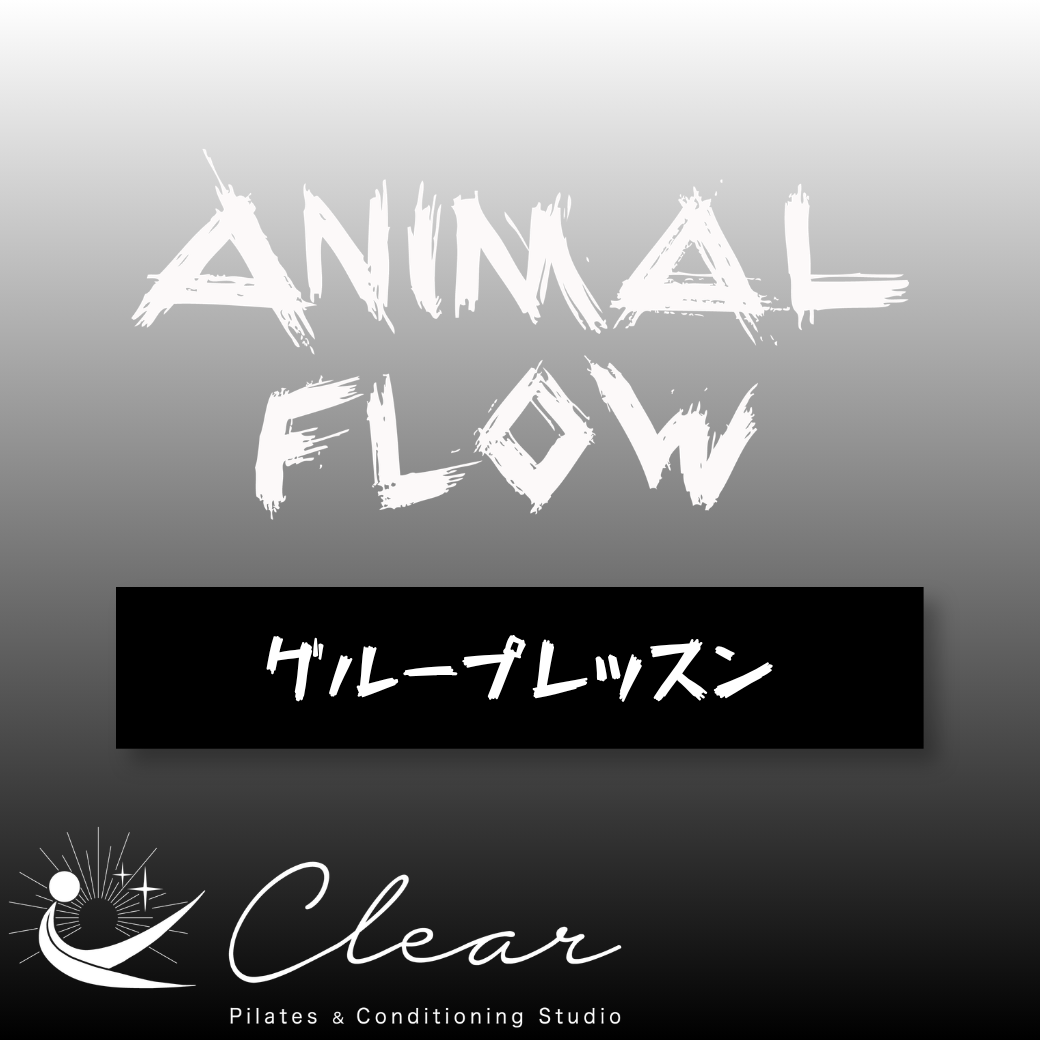 グループレッスン【ANIMAL FLOW】