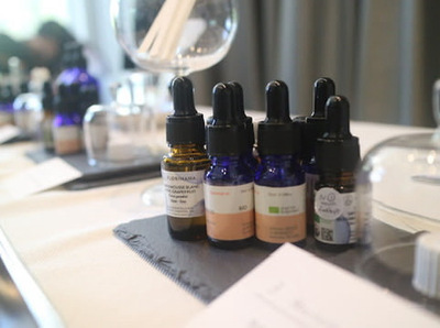 🌲特別1DAY🌲瞑想アロマと150年例大祭と松植樹会