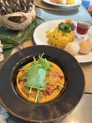 🌲特別1DAY🌲瞑想アロマと150年例大祭と松植樹会