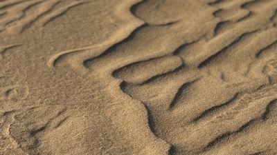 【白銀の鳥取砂丘】スノーシューを使って白銀の鳥取砂丘をガイドと一緒にo砂n歩（おさんぽ）しよう！