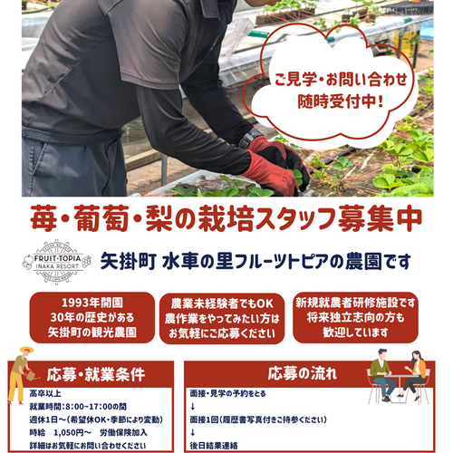 農場スタッフ募集面接予約】水車の里フルーツトピアの農場で働きたい方