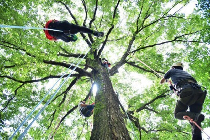 ツリークライミングⓇ｜茨城県｜城里町｜ふれあいの里