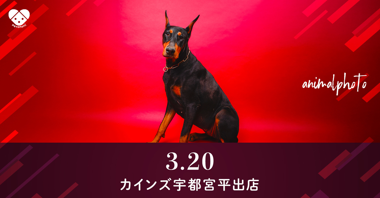 栃木県【カインズ宇都宮平出店】2026年3月20日(金祝)
