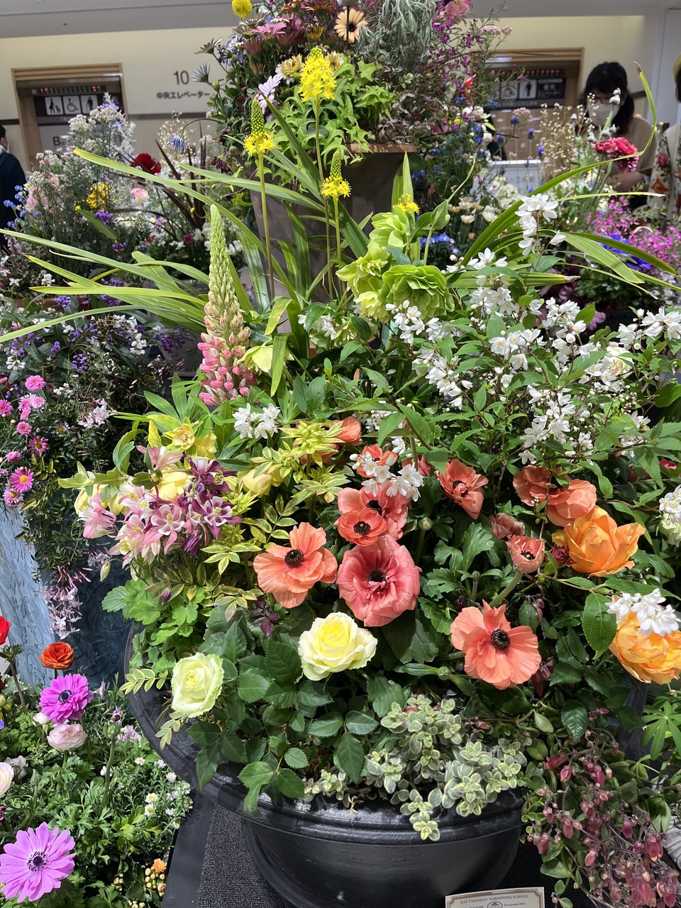 3月のご予約【Flower+Style 英国式寄植えレッスン】