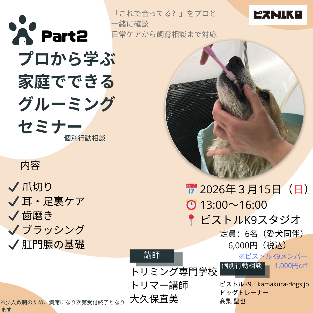 【プロから学ぶ 家庭でできるグルーミングセミナー Part2】3月15日13:00〜16:00