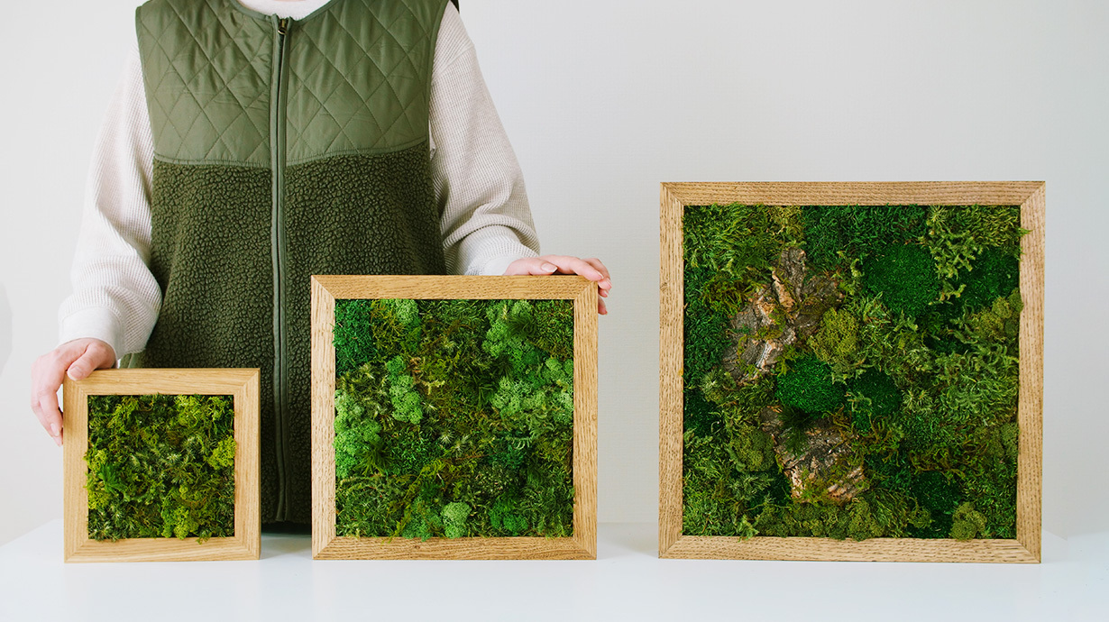 KOKE _特別無料講習会