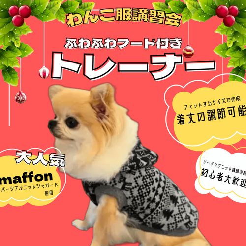犬用品 じゅん子さま確認用☺︎わんこふく