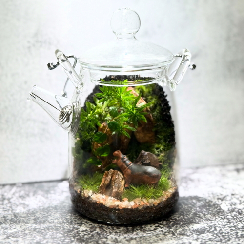 中古のガラステラリウム 松坂屋名古屋店 】『ガラスの急須に作る壁面、山の風景のテラリウム