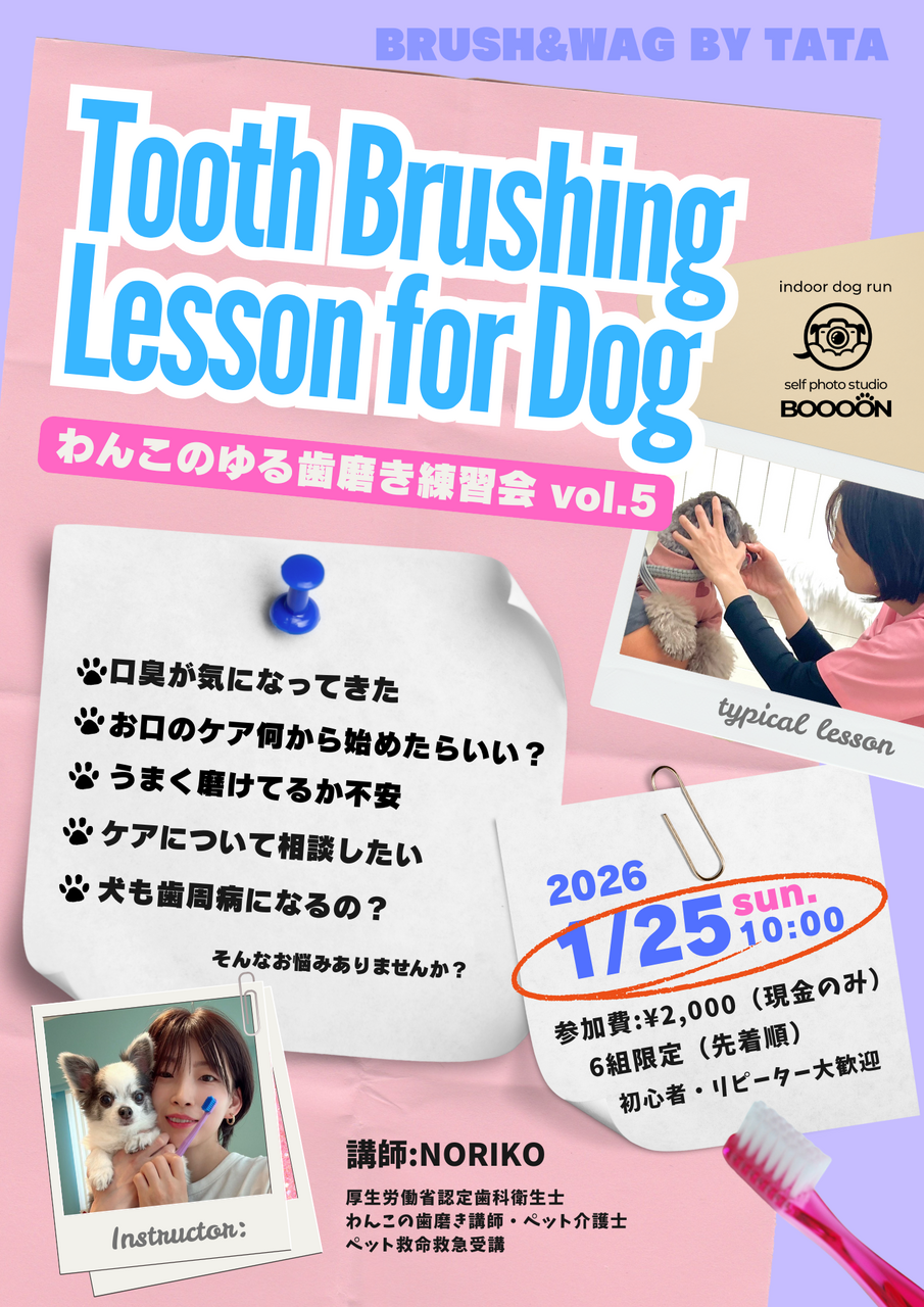 【EVENT】1/25 10:00 わんこのゆる歯磨き練習会vol.5