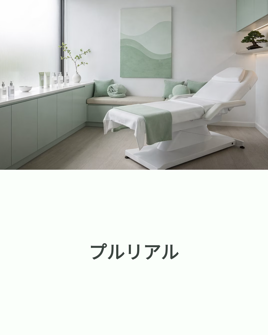 プルリアル デンシファイ(Pluryal densify)