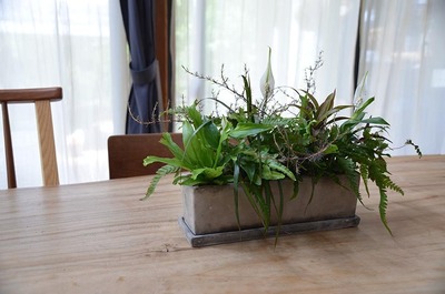 フリースタイル寄せ植えレッスン