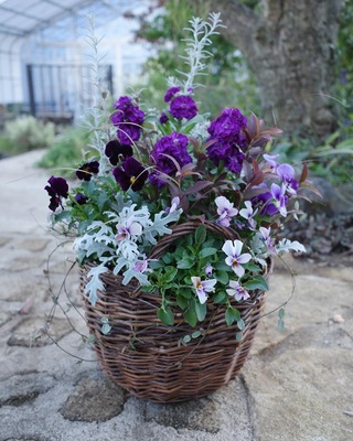 フリースタイル寄せ植えレッスン