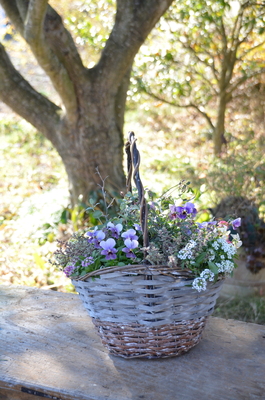 フリースタイル寄せ植えレッスン