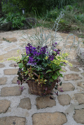 フリースタイル寄せ植えレッスン