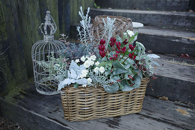 フリースタイル寄せ植えレッスン