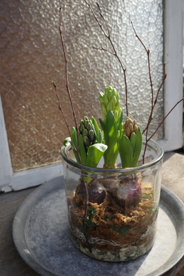 フリースタイル寄せ植えレッスン