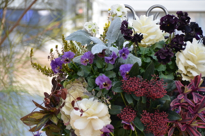 フリースタイル寄せ植えレッスン