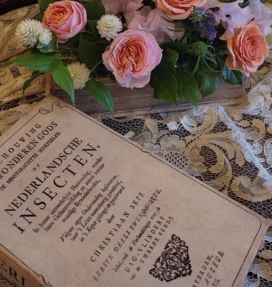 BOOK型アレンジメント（菊名教室）1dayレッスン