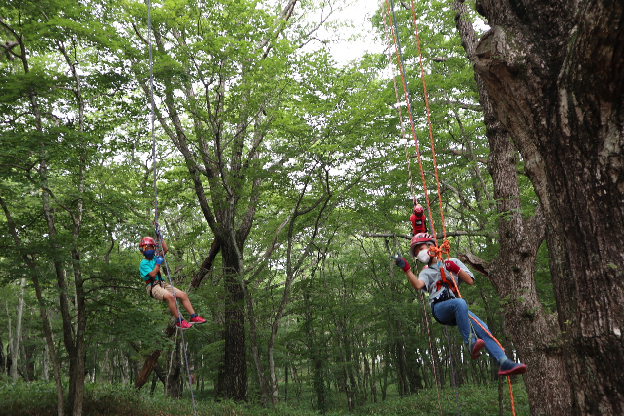 ツリーイング体験