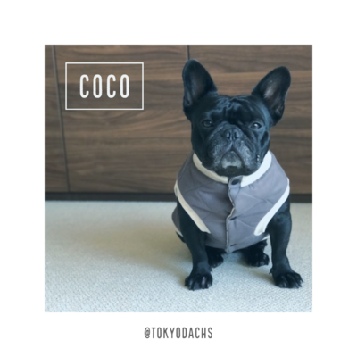 愛犬のキルティングジャケット(2日間)